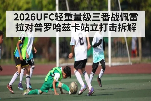 2026UFC轻重量级三番战佩雷拉对普罗哈兹卡站立打击拆解
